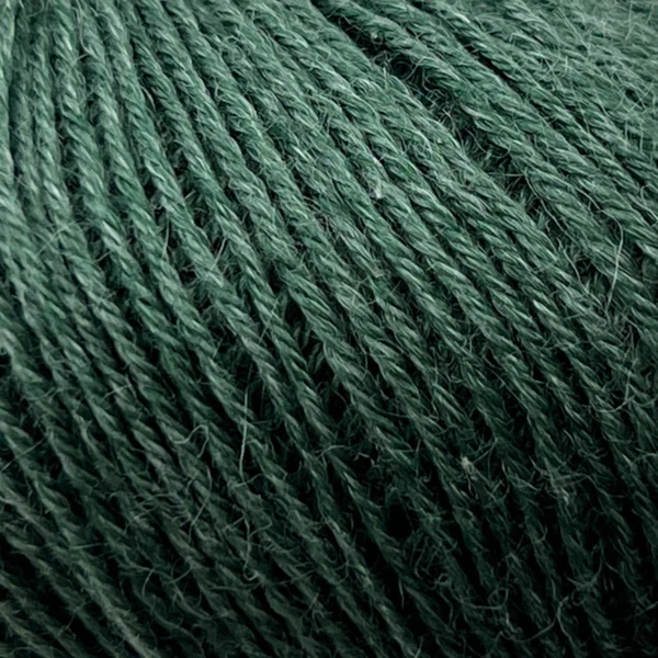 Onion Nettle Sock Yarn